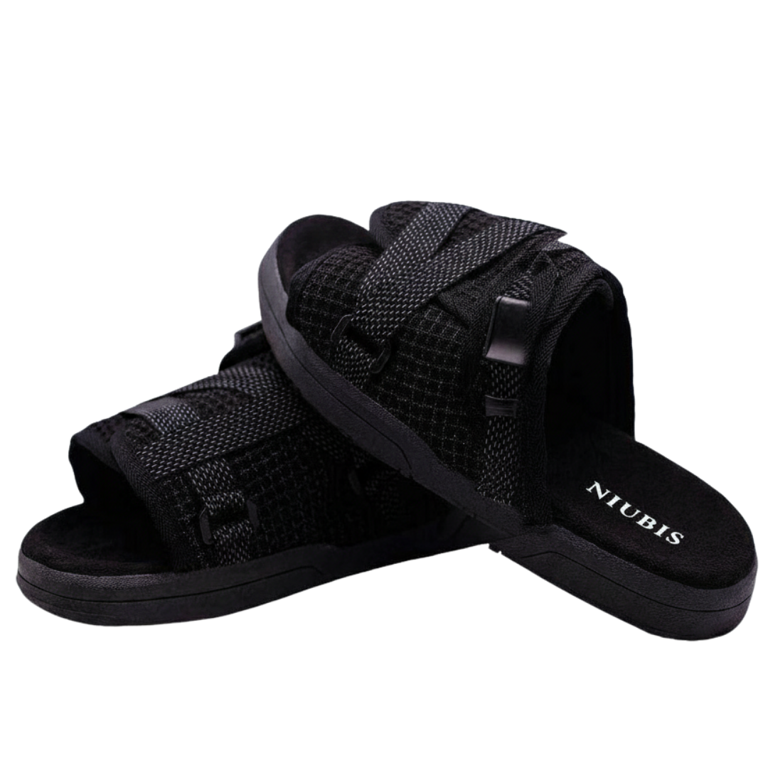 Niubis slide
